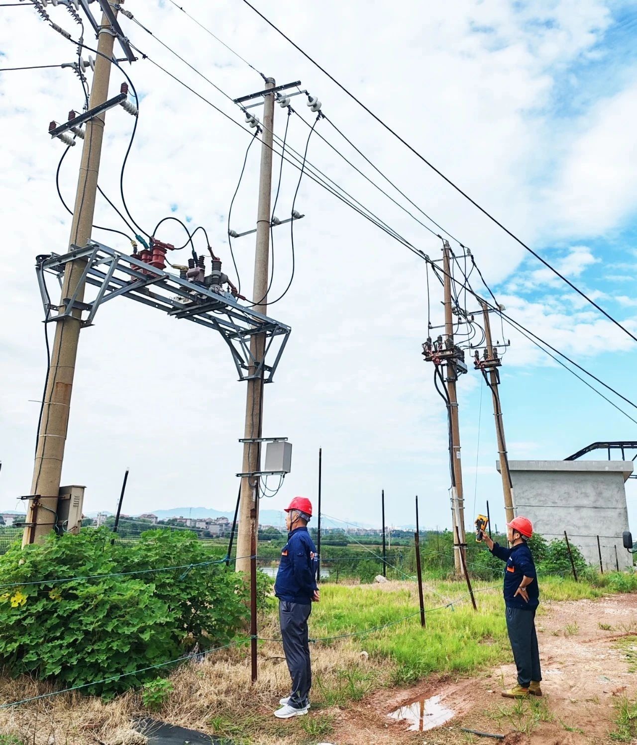 1754031742.jpg 1.jpg