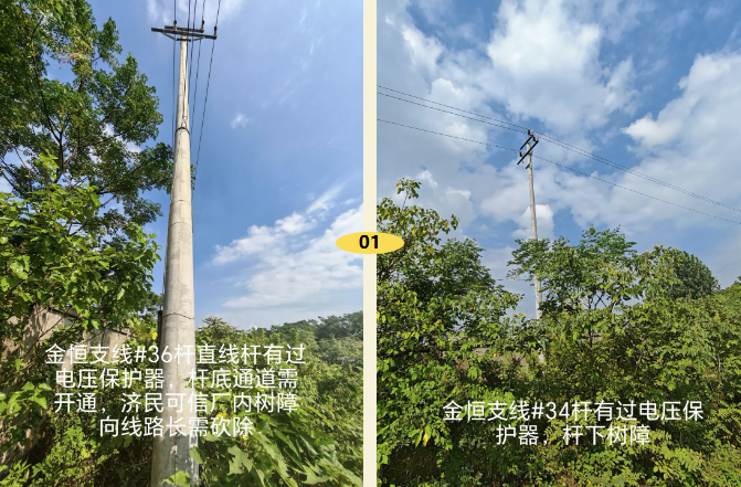 1754031809.png 3.png