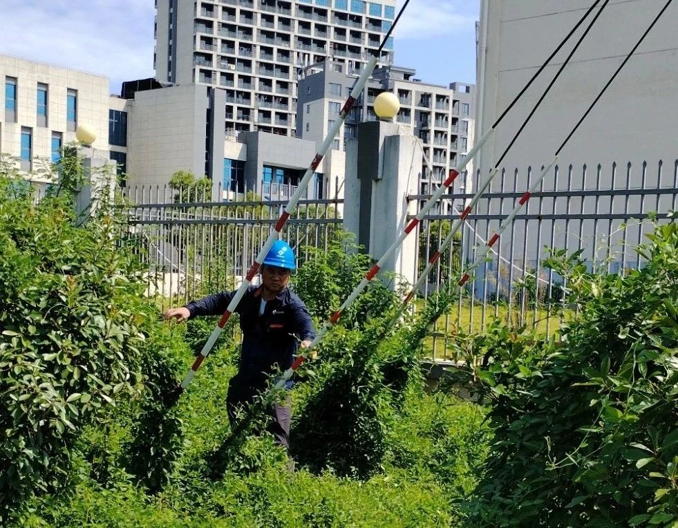 1754031906.jpg 6.jpg