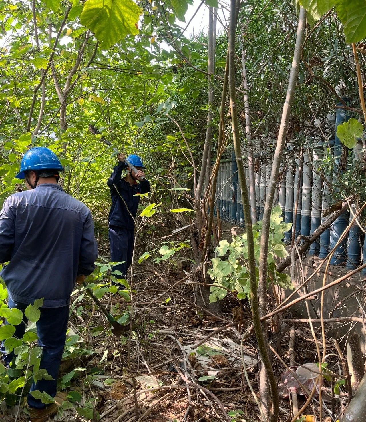 1754032043.jpg 8.jpg