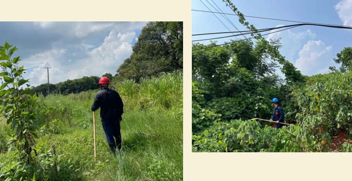 1754032205.png 10.png