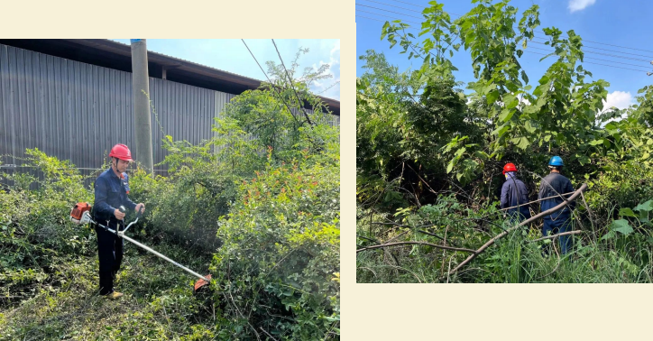 1754032259.png 11.png